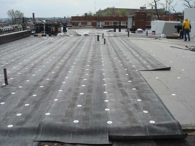 Trident Contracting Membrane1