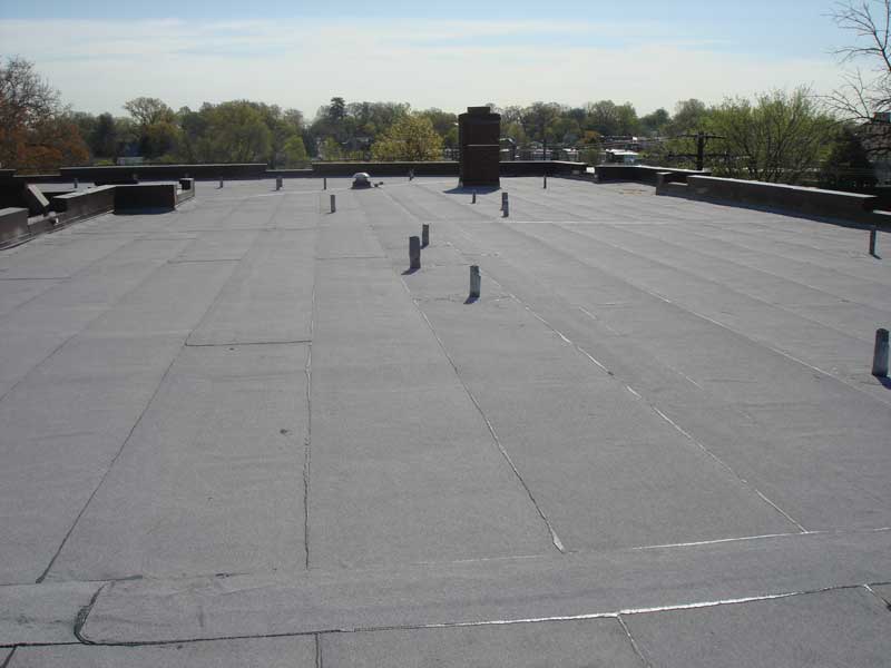 Trident Contracting Membrane1